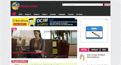 Desktop Screenshot of programlar.enpedi.com